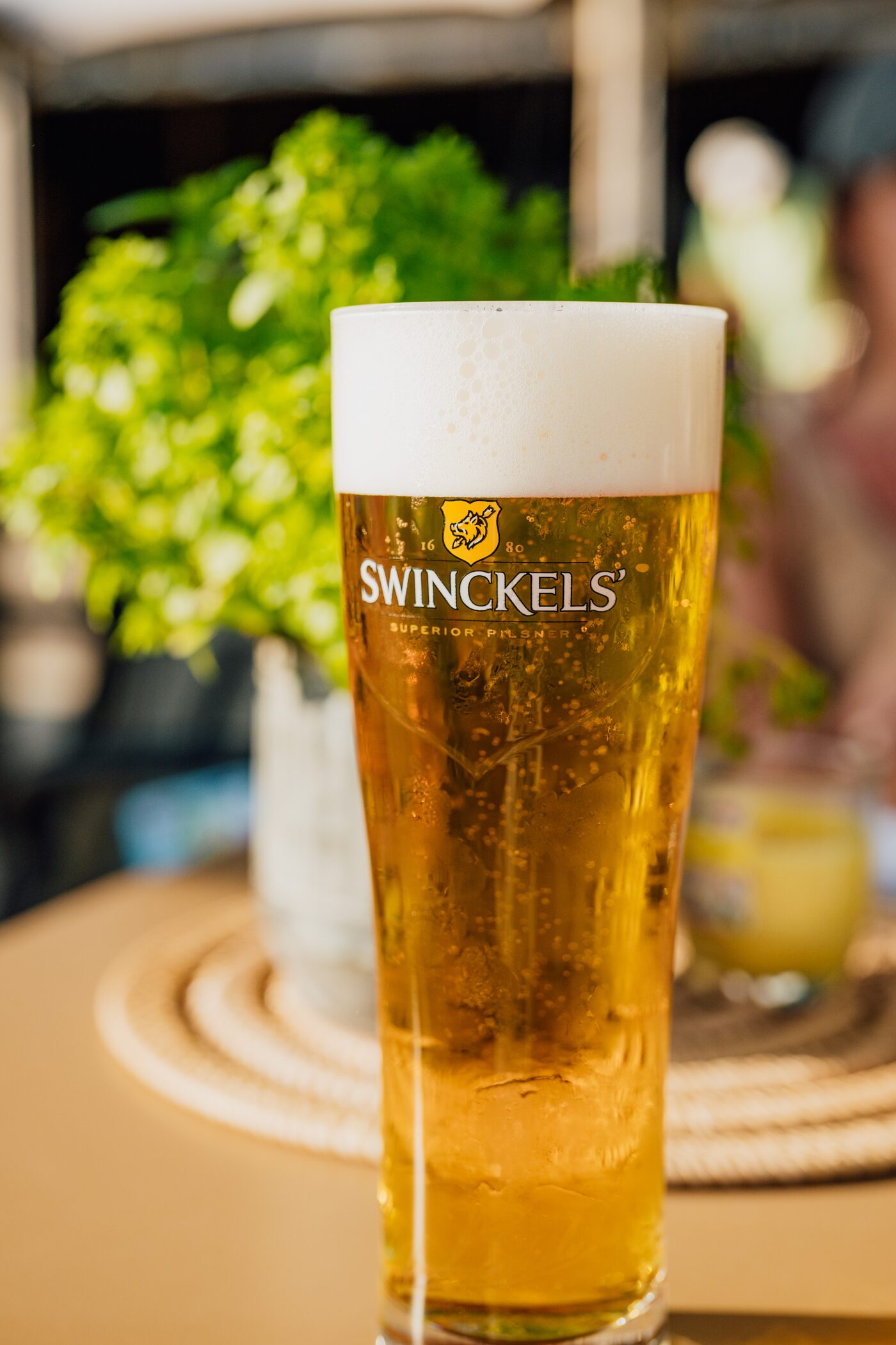 Frisch gezapftes Swinckels-Pils mit Kräutern im Hintergrund